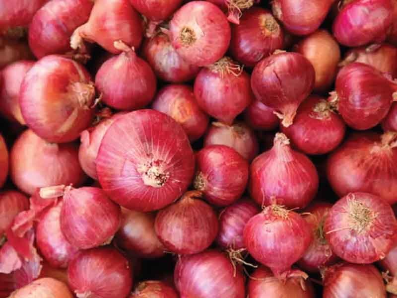 Onions now at Rs 22-23 per kg to avoid rotting at port